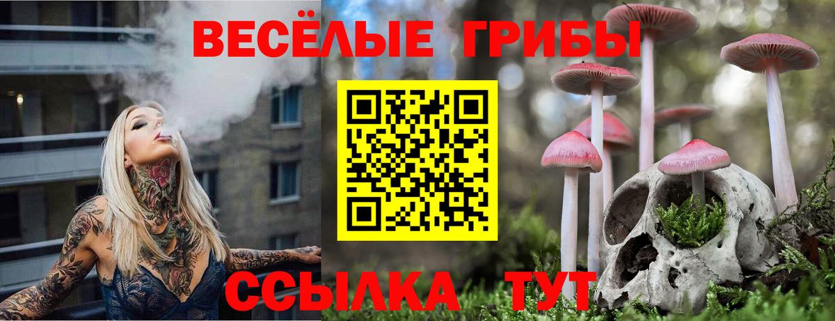 Галлюциногенные грибы MAGIC MUSHROOMS  Вход с VPN  Кимры  Галлюциногенные грибы мицелий 