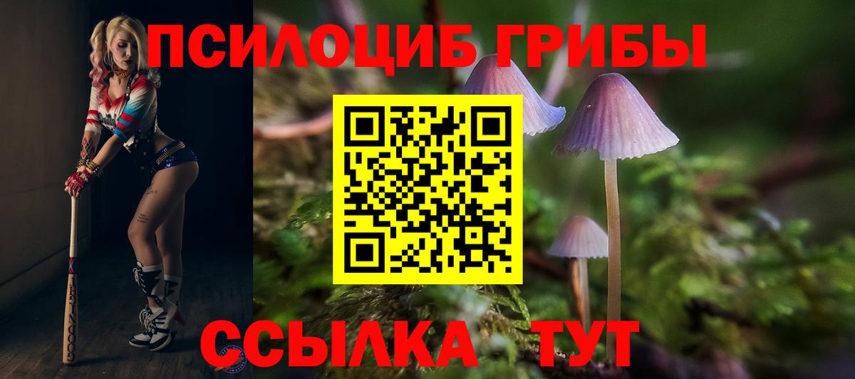 Псилоцибиновые грибы мицелий Кимры